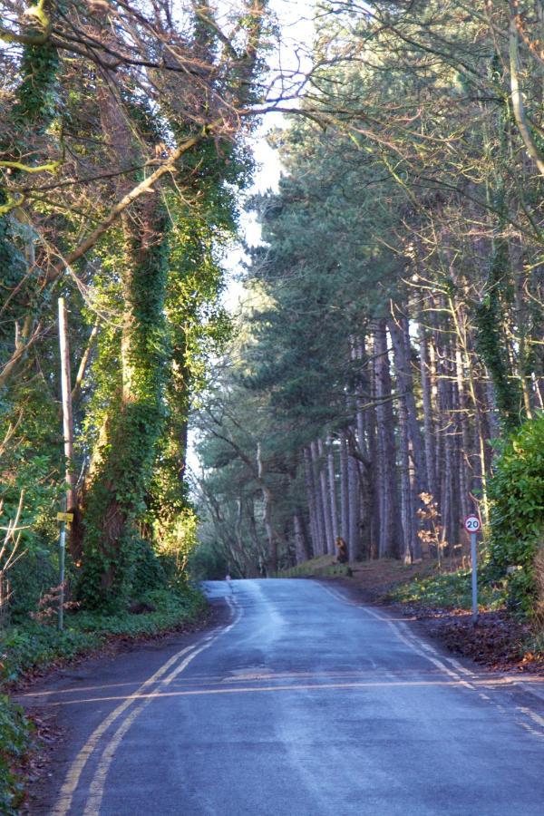 Formby Pinewood Studio Exterior photo